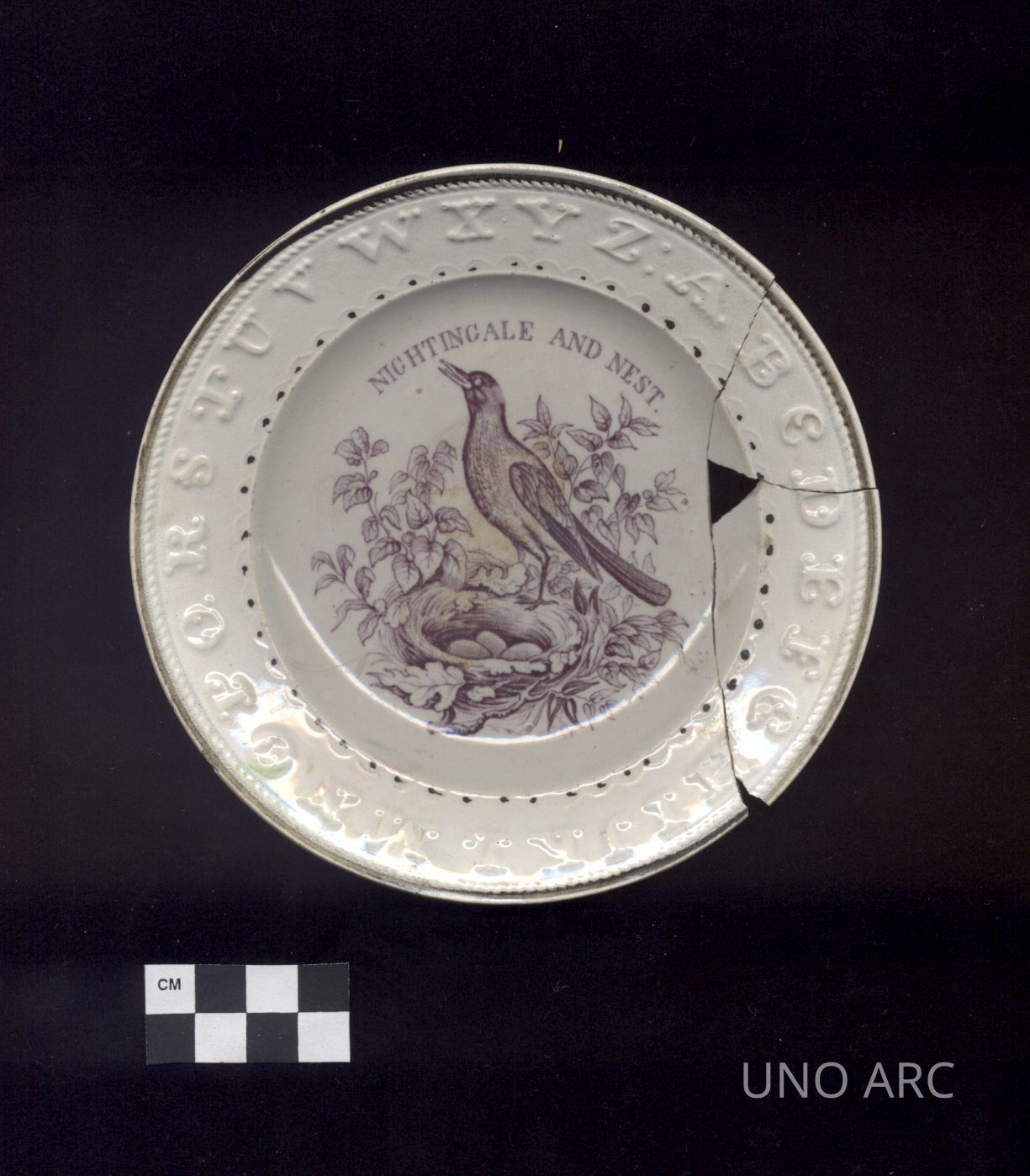 Archive: Artifacts from ESI's St. Thomas Housing Project Excavations