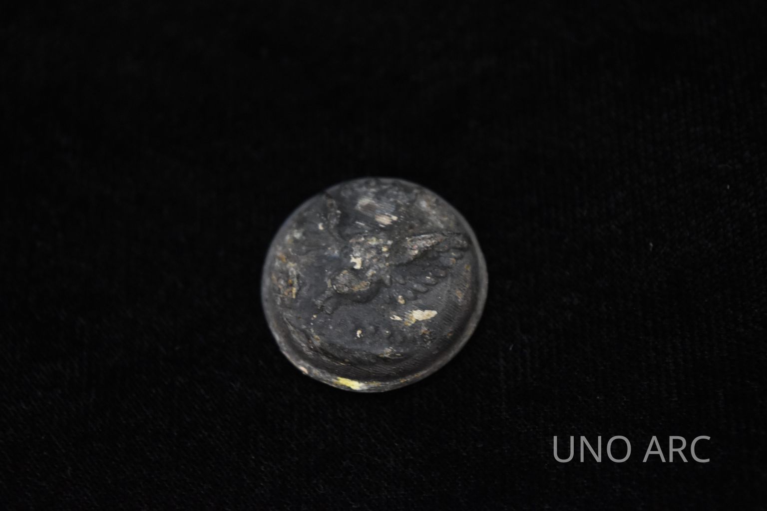 Student Exhibit: 1880s Privy at St. Thomas Square 70