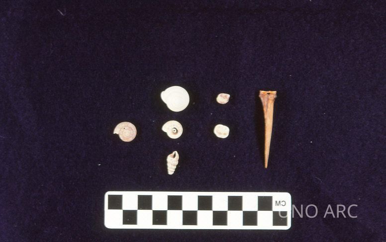 Archive: Treme Plantation