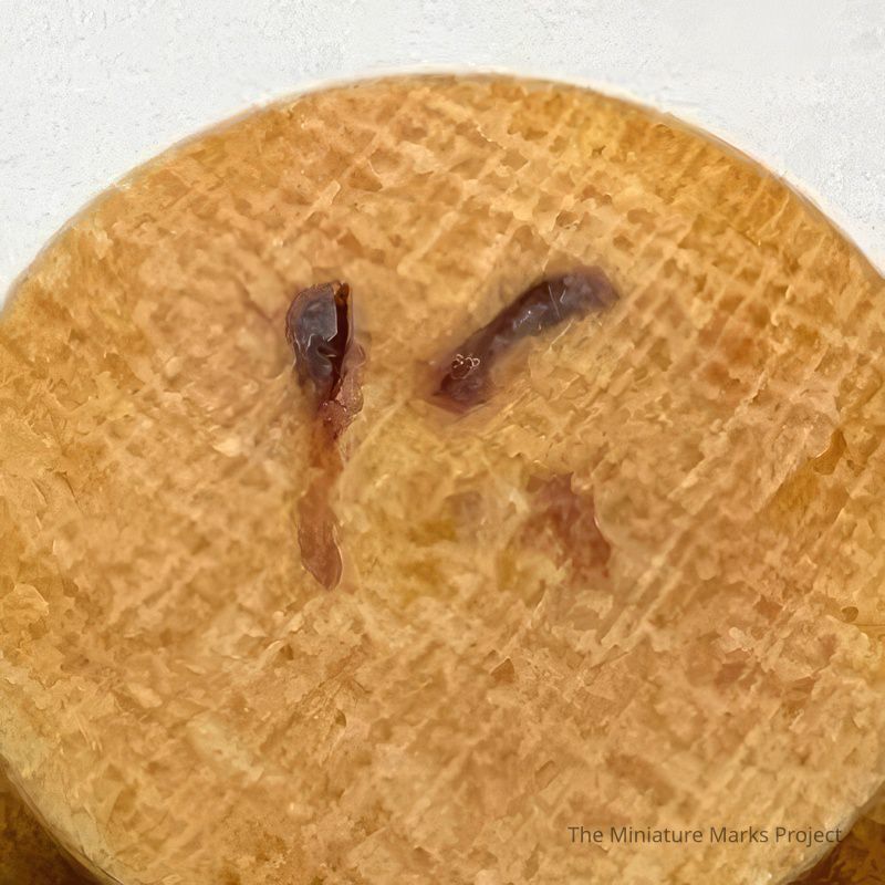 Brand (burnt in)