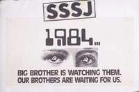 <i>No tag option for sjma_entry called: 'image</i>