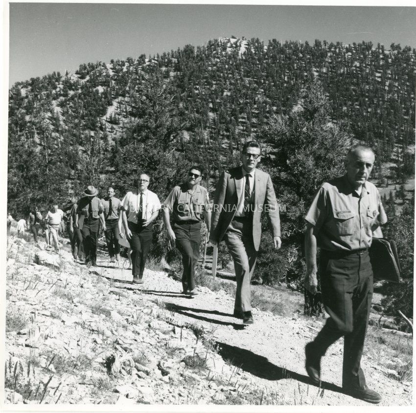 Inyo National Forest Photograph Collection