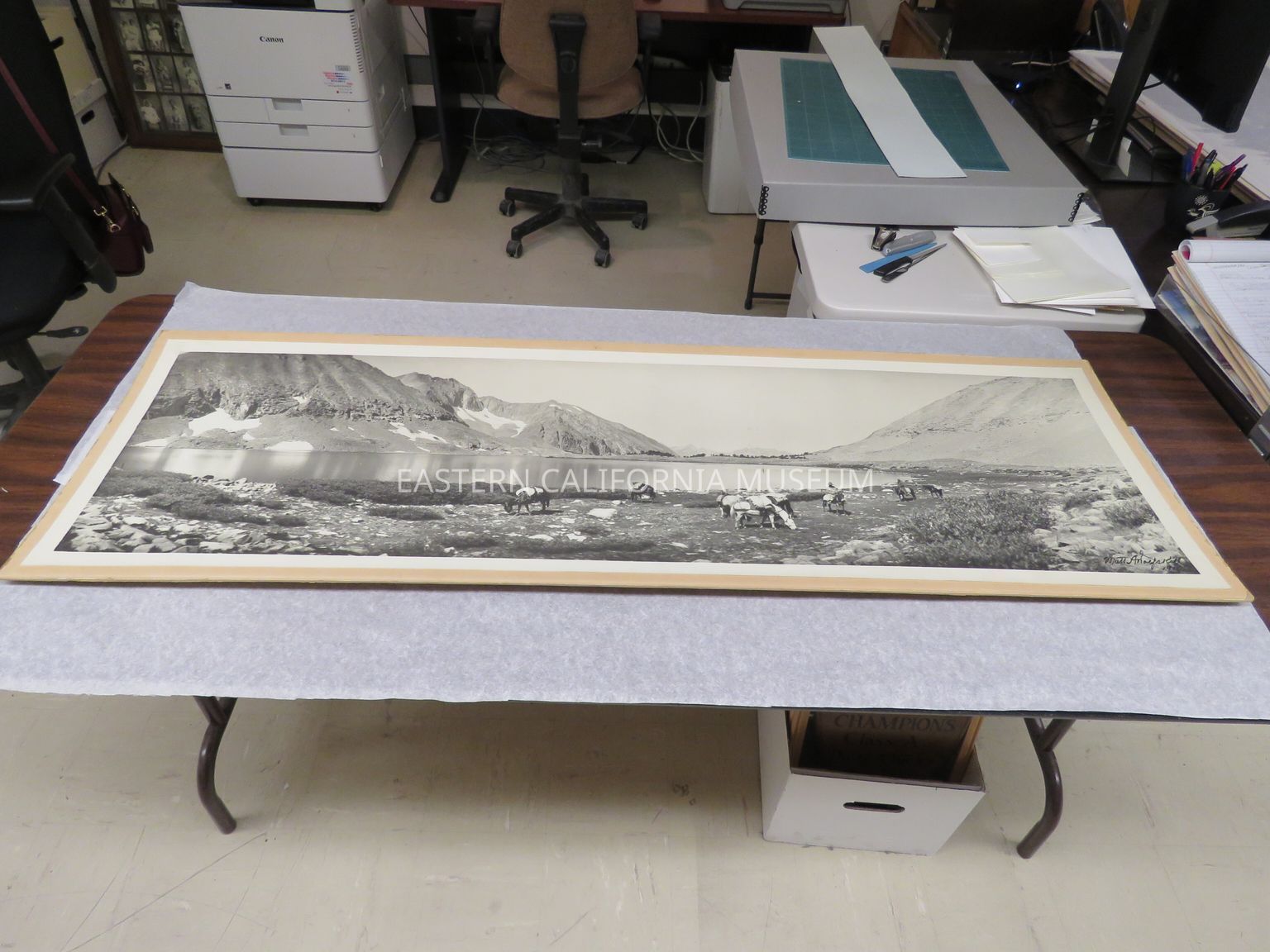 Photographer Spotlight: Matt Ashby Wolfskill (1870-1949)