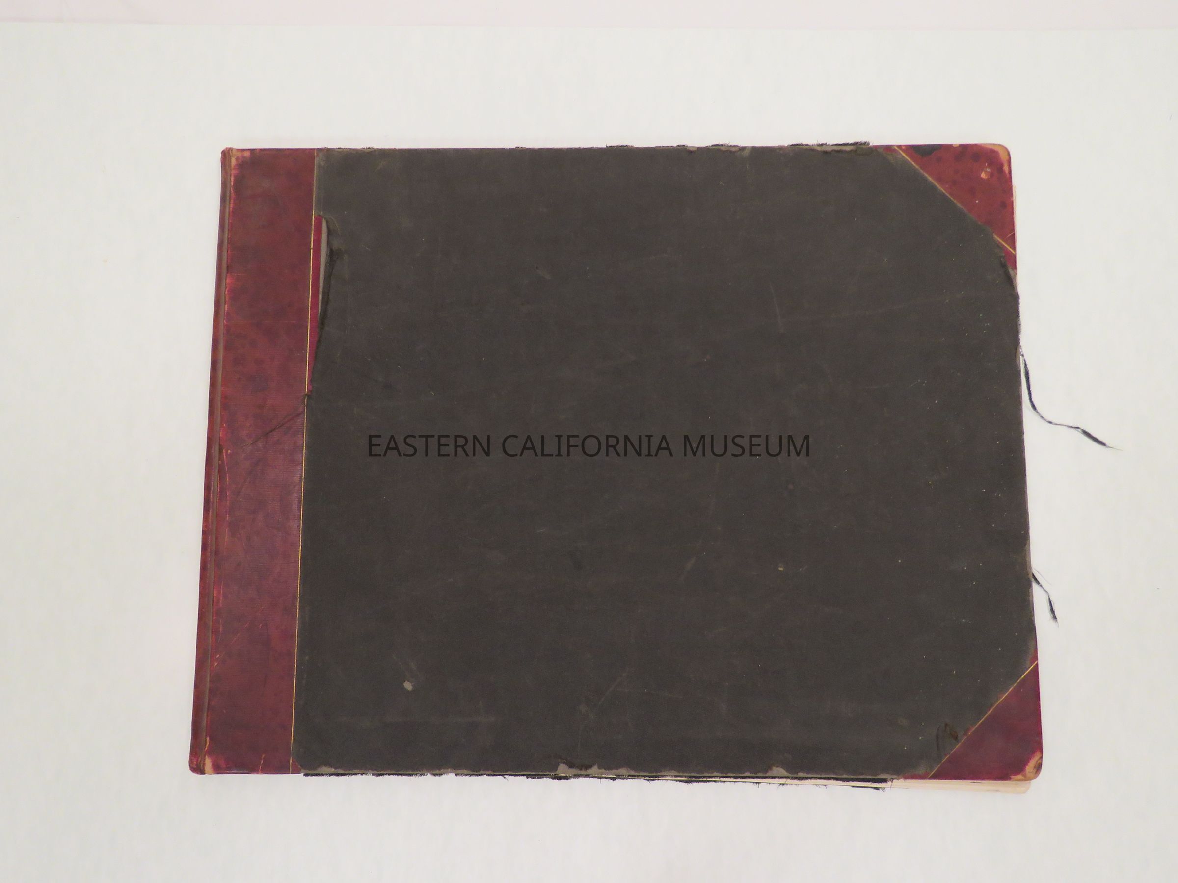 1955.481.169 PDF