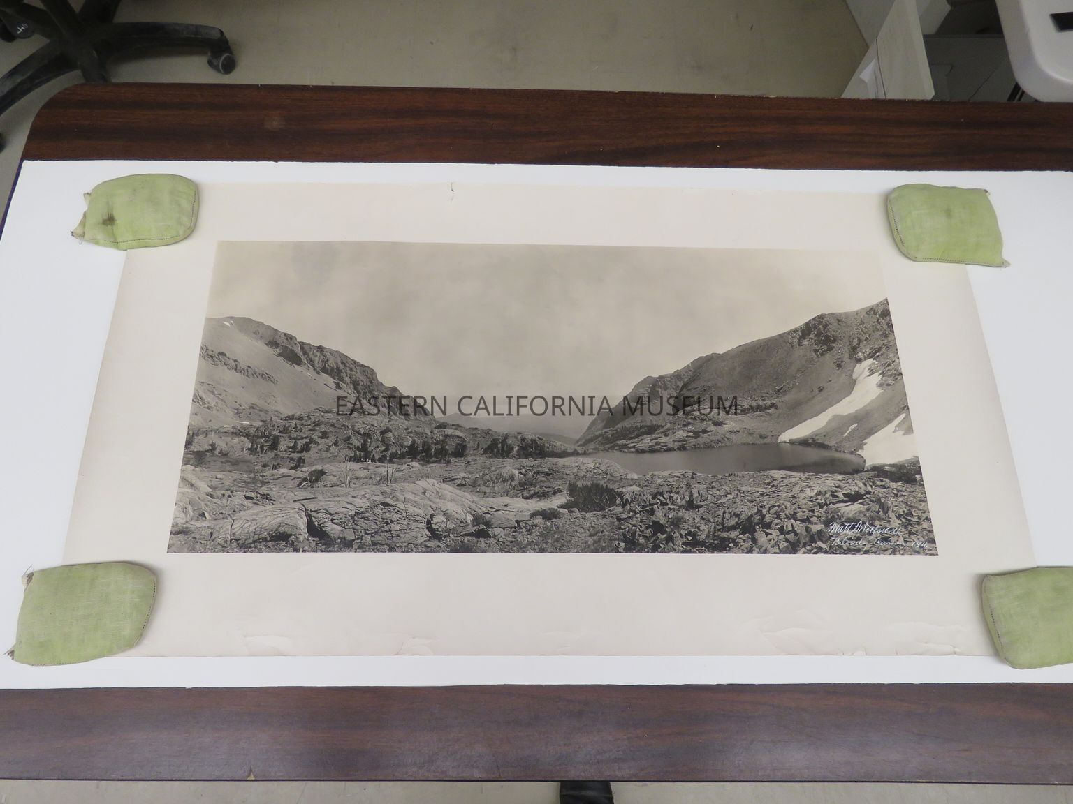 Photographer Spotlight: Matt Ashby Wolfskill (1870-1949)