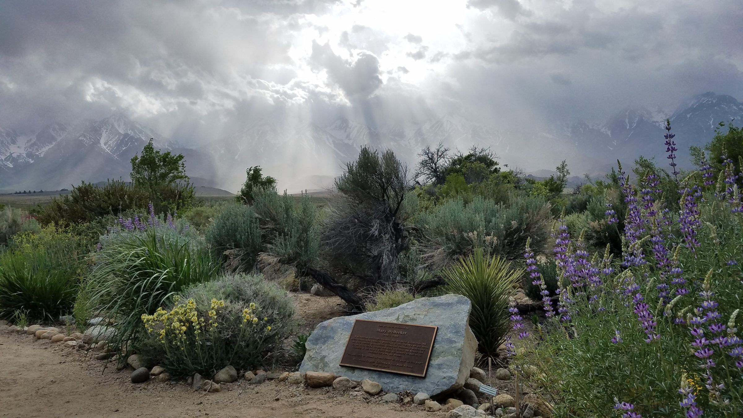Eastern California Museum hero image