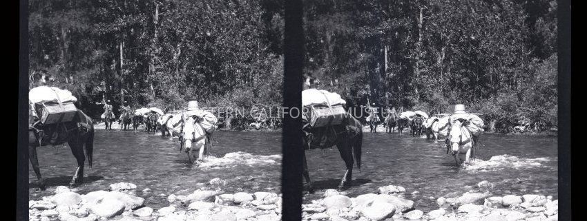 Photographer Spotlight: Matt Ashby Wolfskill (1870-1949)