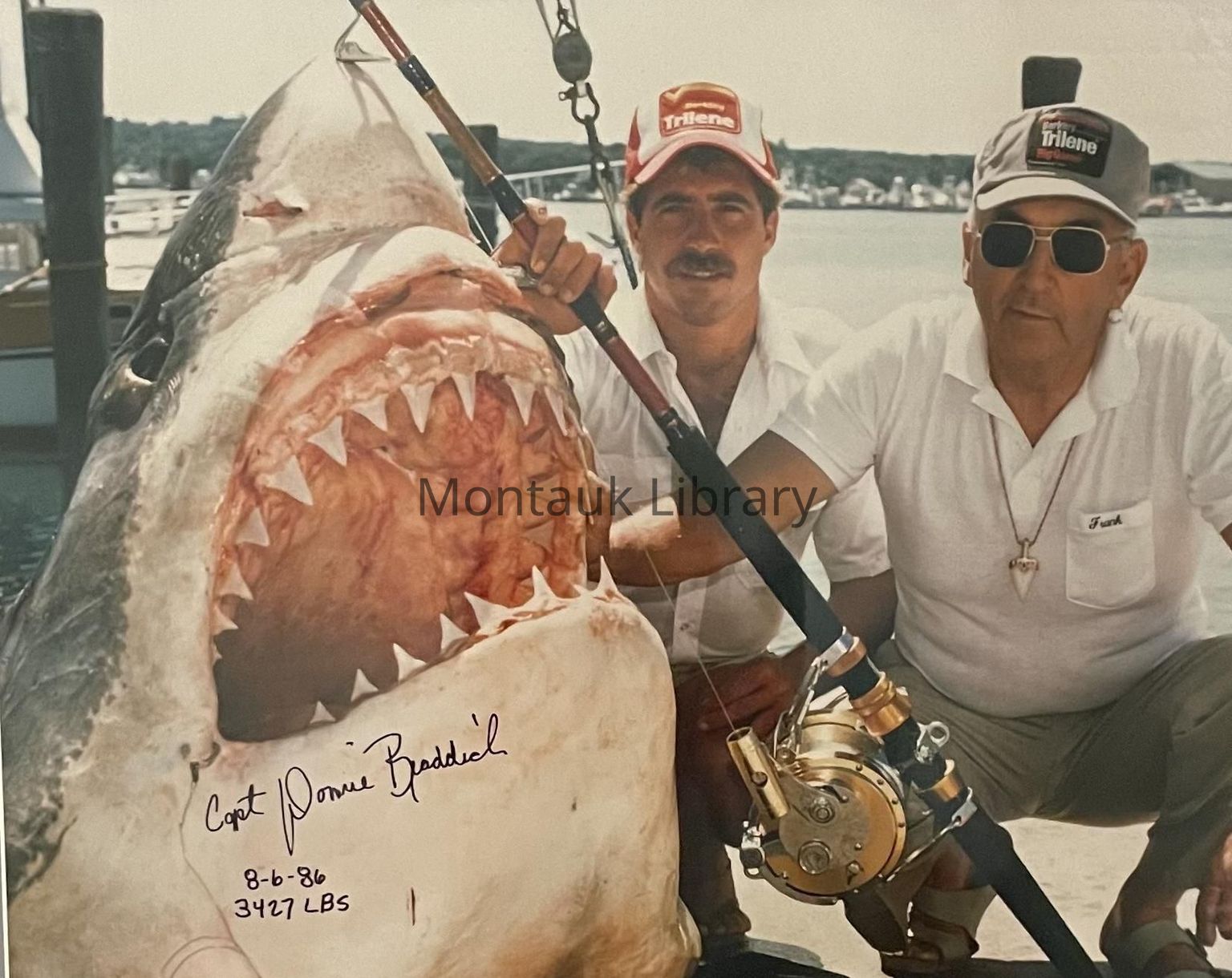 Oral Histories (2022–2025)