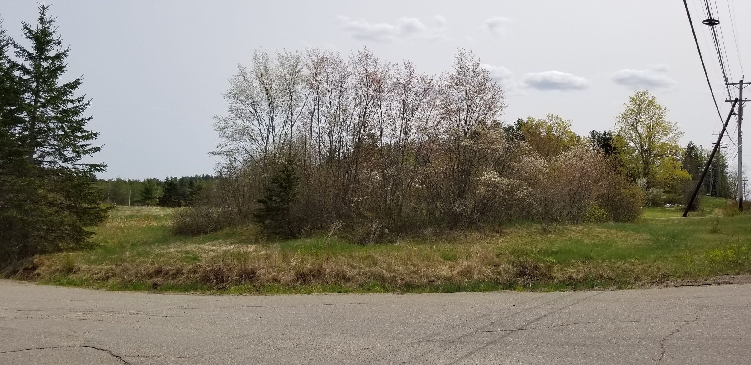 Location of Schoolhouse in Lower Dennysville; Cellar hole of the Lower Dennysville Schoolhouse, on the corner of the Shipyard Road and U.S. Route 1. In the 1950's the school was moved a mile up U.S. Route 1 to serve as a garage in Pembroke.