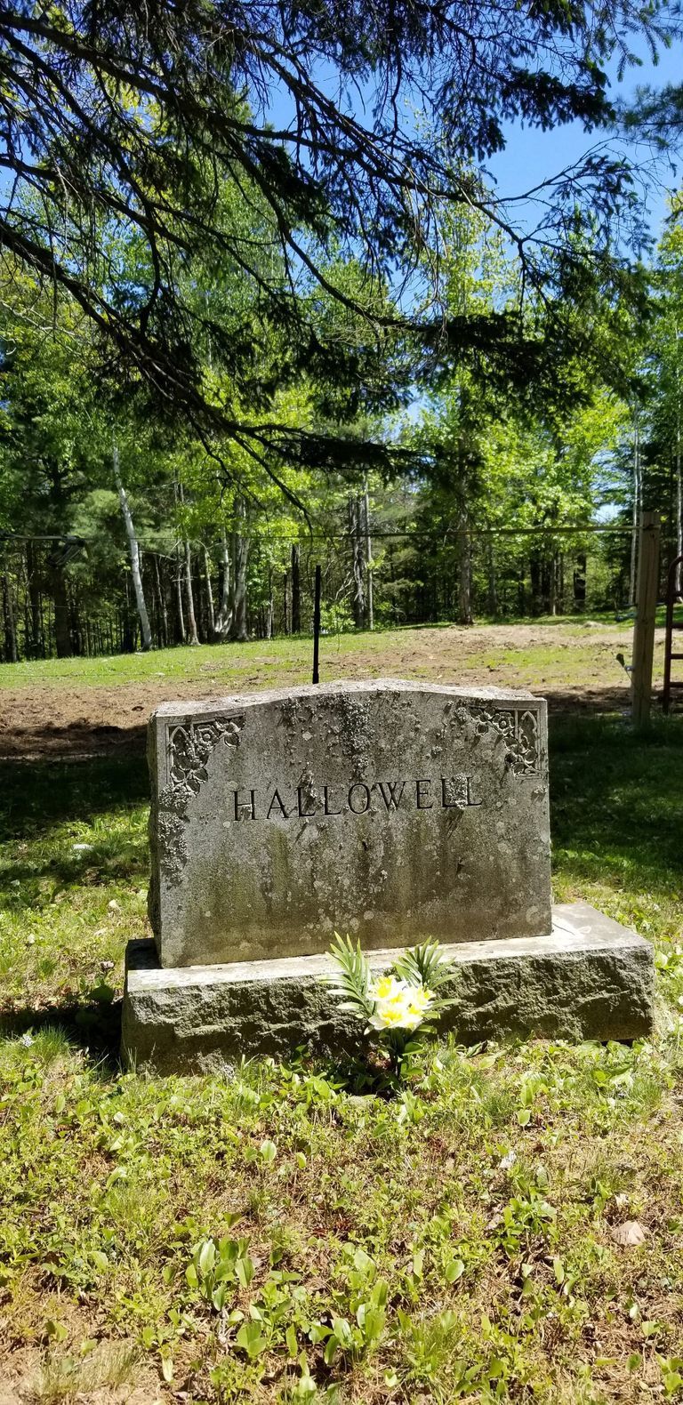          Hallowell Family Gravestone in Edmunds, Maine; The stone was placed as a memorial to his family by Alton Hallowell of Edmunds, Maine. The only surviving family members were Mrs. Hallowell and son Ira H. who was Alton's father.
   