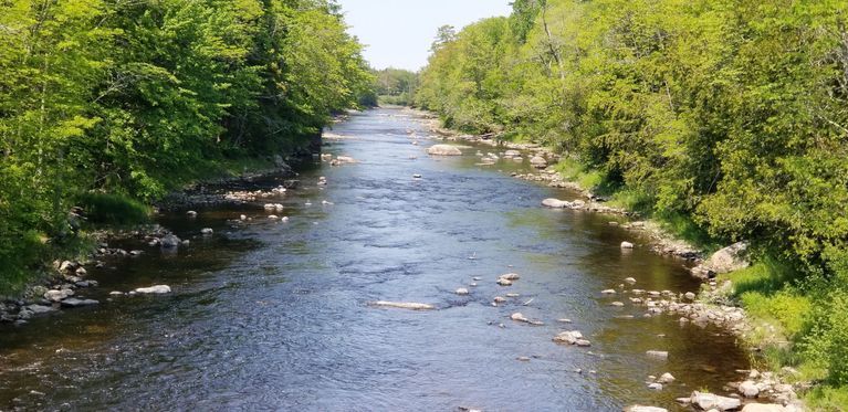          Dennys River below the Upper Bridge
   