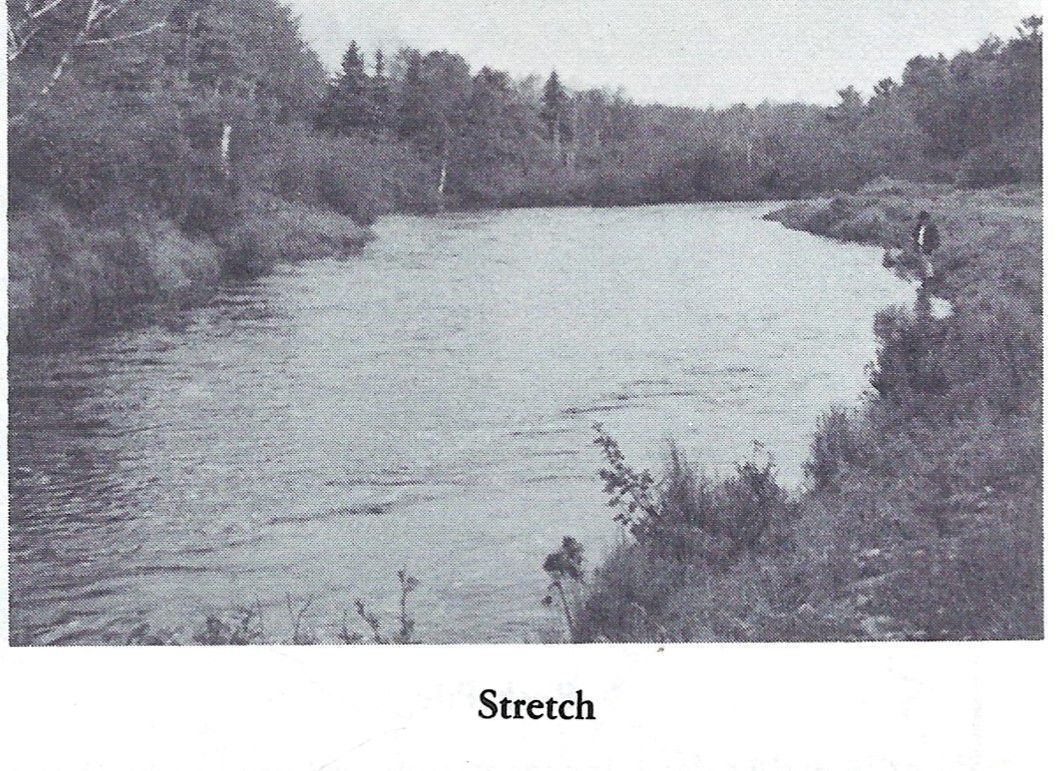 The Stretch on the Dennys River; Reproduced from