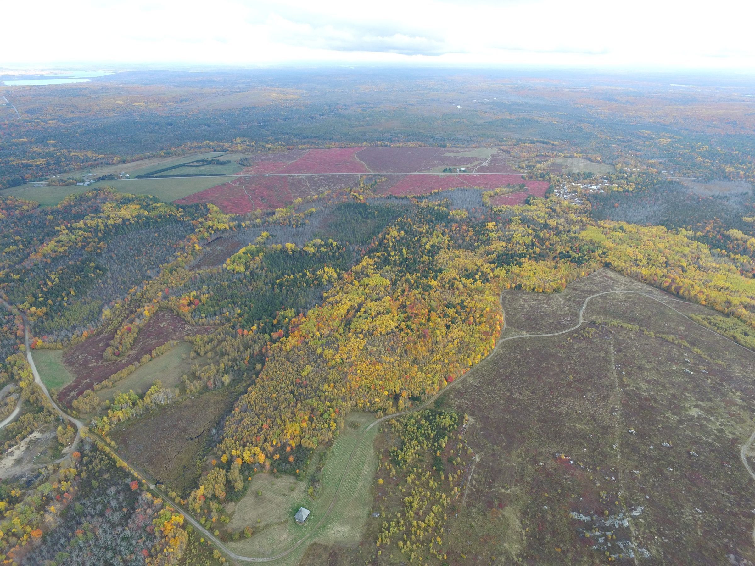 Aerial view of Meddybemps Blueberry Barrens and Delta; Photograph courtesy of Jeff Orchard