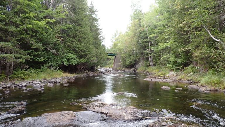          Audubon Dam Site, Dennys River,; Looking upstream from the site of the lumberman's dam described by John James Audubon during his 1832 visit to Dennysville in his essay entitled 