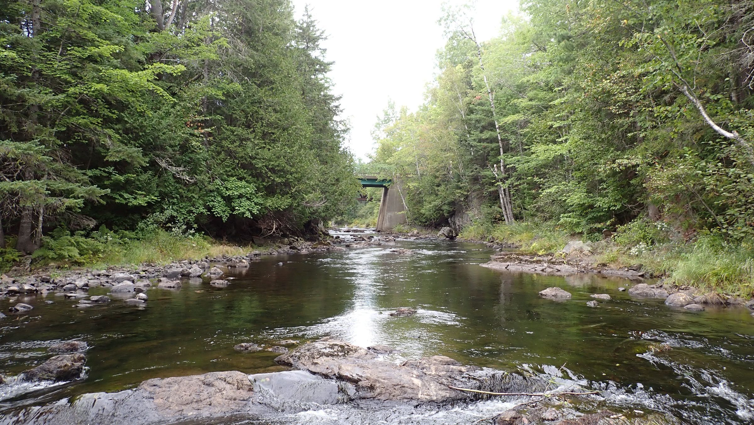 Audubon Dam Site, Dennys River,; Looking upstream from the site of the lumberman's dam described by John James Audubon during his 1832 visit to Dennysville in his essay entitled
