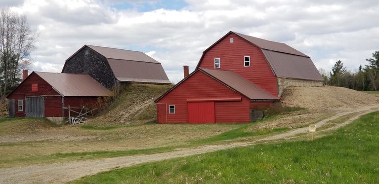          Potato Barns, Meddybemps, Maine
   