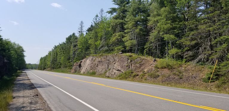          Campground Woods border U.S. Route 1 in Edmunds as it approaches the village on the Dennys River.
   