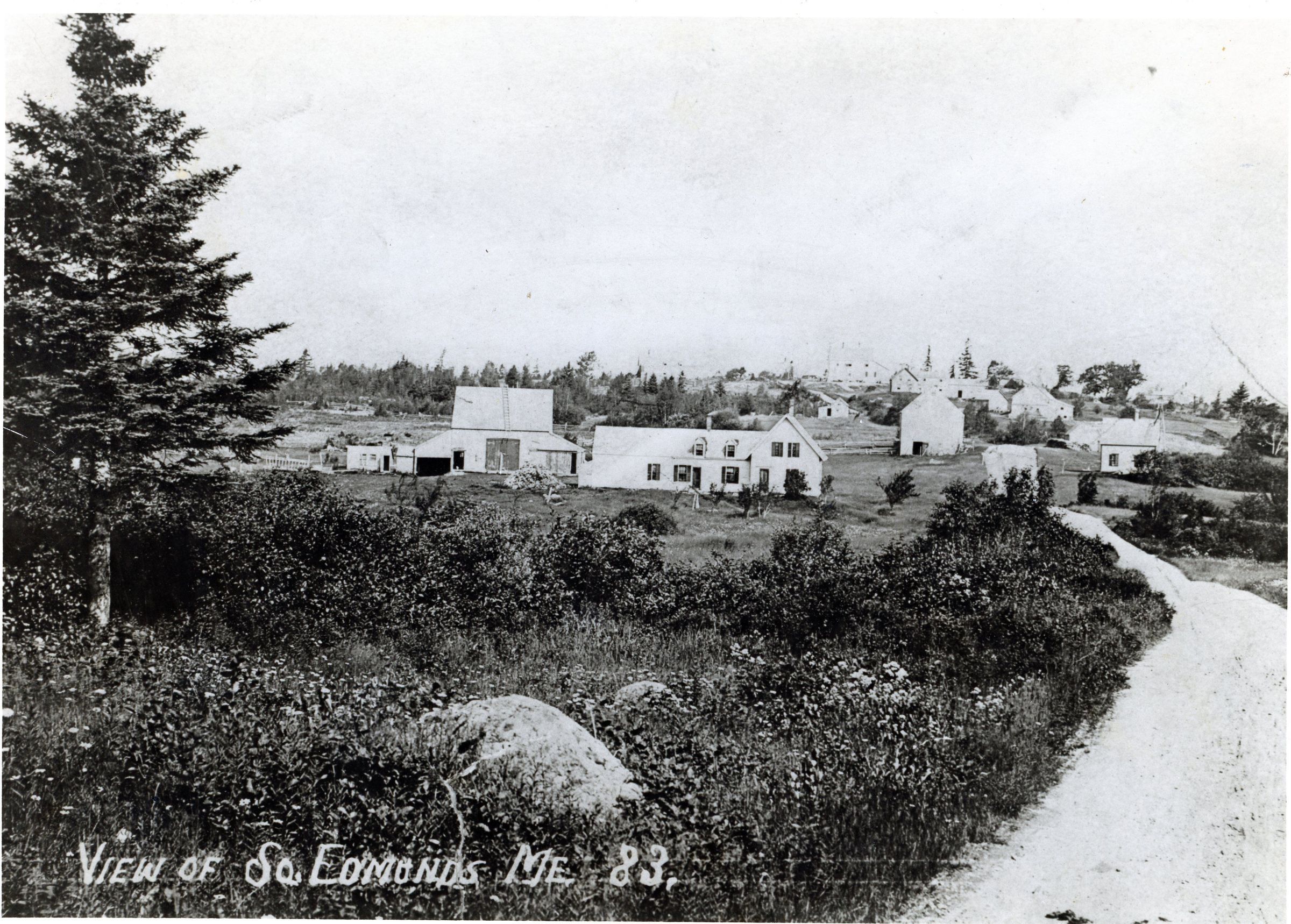 View of South Edmunds, Maine