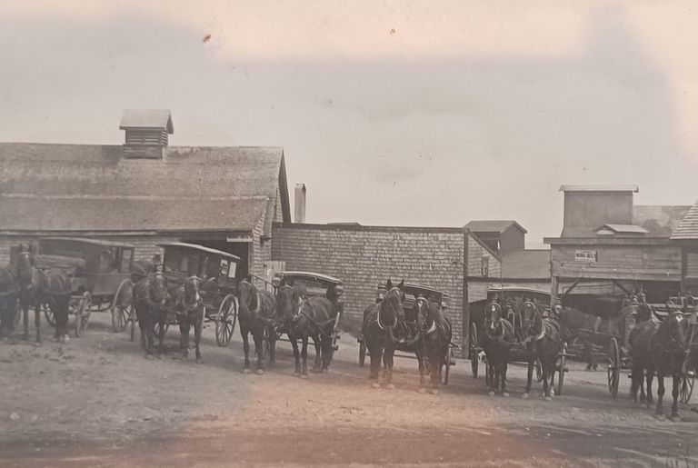          Charles Gardner's livery stable in Eastport, Maine
   