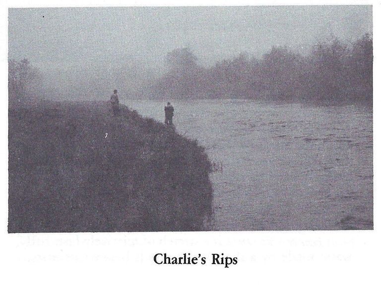         Charlie's Rips on the Dennys River; Reproduced from 