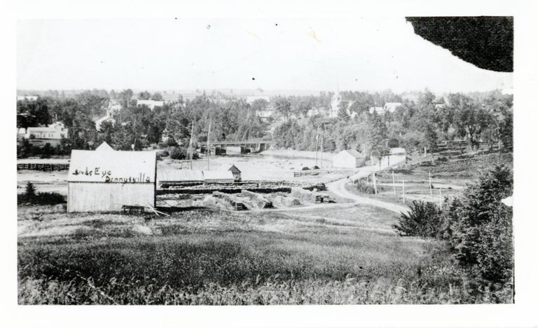          Birds Eye View of Dennysville from Corn Hill, Dennysville, Maine; Lumber is stacked and drying beside a shingle mill on the hillside above the Packet Wharf, while the Lincoln's wharf and storehouse can be seen on the other side of dock bridge on the right hand side of the image.  Viewed at low tide, the Lower Bridge crosses the river to Edmunds, with the Aaron Hobart House and T.W. Allan's wharf visible on the left.
   