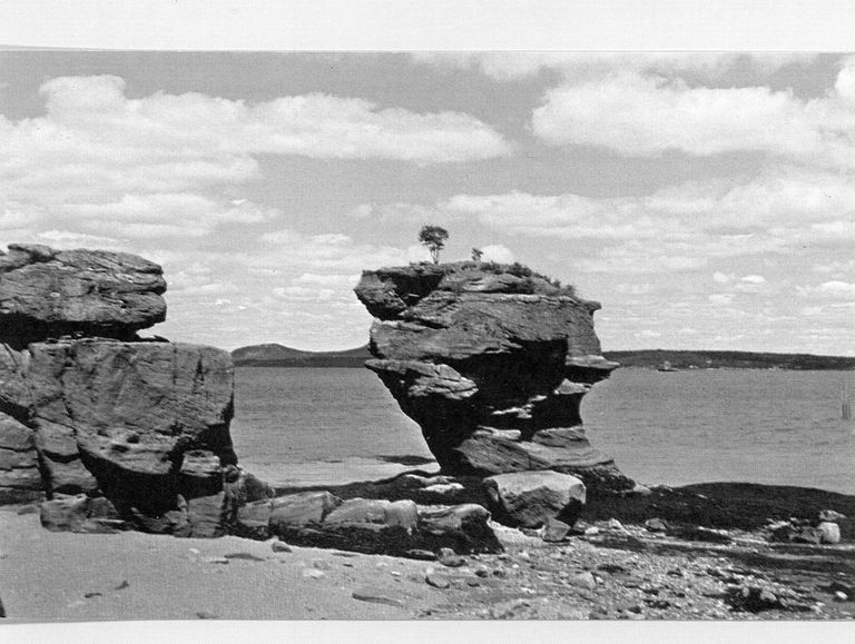          Pulpit Rock, Perry, Maine picture number 1
   