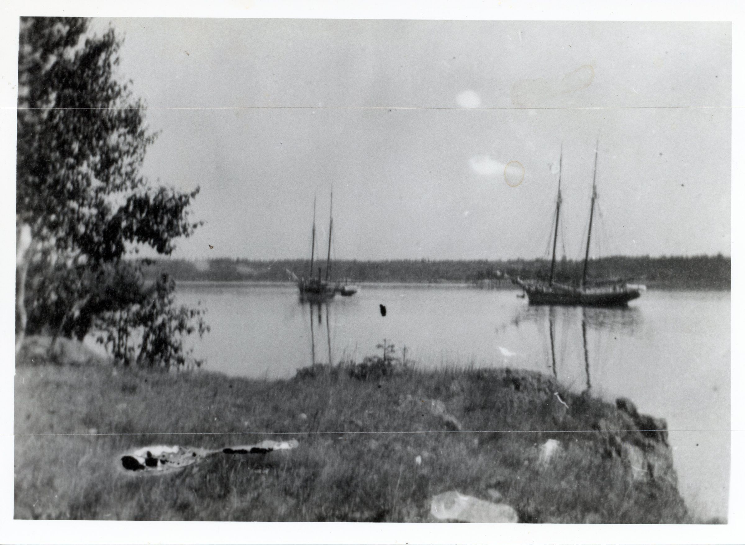 Schooners Off Hurley Point, Edmunds, Maine, c. 1900; Schooners anchored off Hurley Point in Dennys Bay waiting for the tide to pass through the Narrows up to the wharves on the Dennys River.