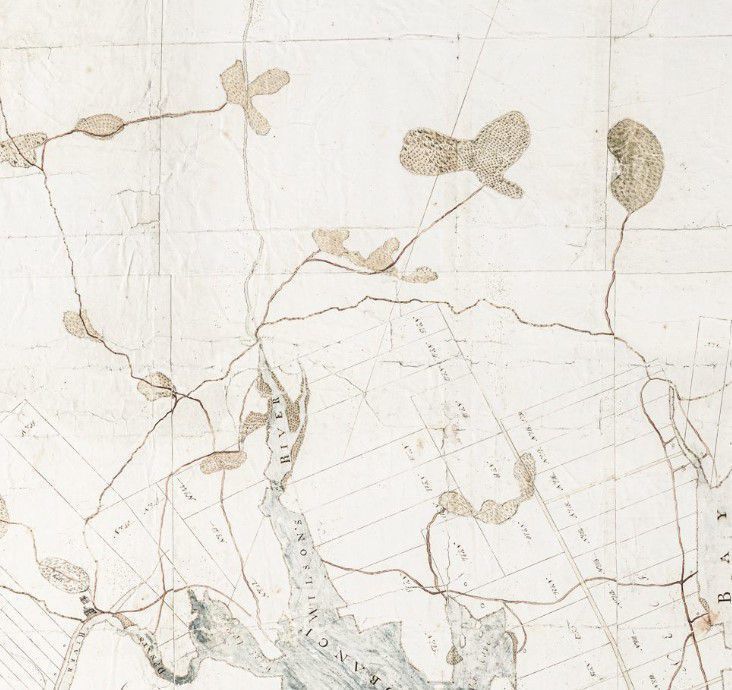          Solomon Cushing's Big Map, 1798; Marshes predominate the landscape of Solomon Cushing's big map of Townships No. 1 and 2.  Shaw Meadow Marsh is visible as a splotchy 'Y'  up the Smith Road, which rises due north from the village of Dennysville.
   