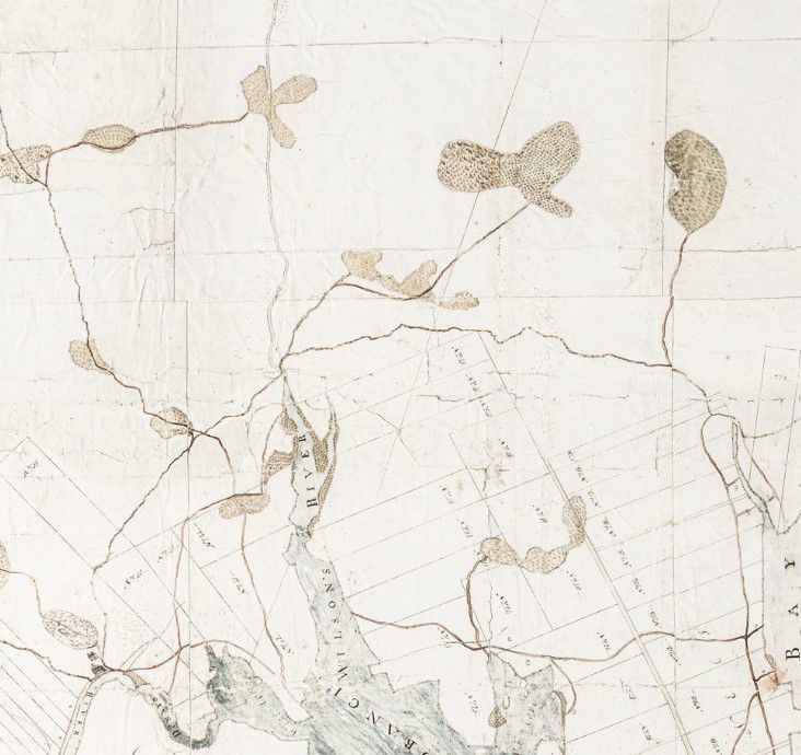 Solomon Cushing's Big Map, 1798; Marshes predominate the landscape of Solomon Cushing's big map of Townships No. 1 and 2. Shaw Meadow Marsh is visible as a splotchy 'Y' up the Smith Road, which rises due north from the village of Dennysville.