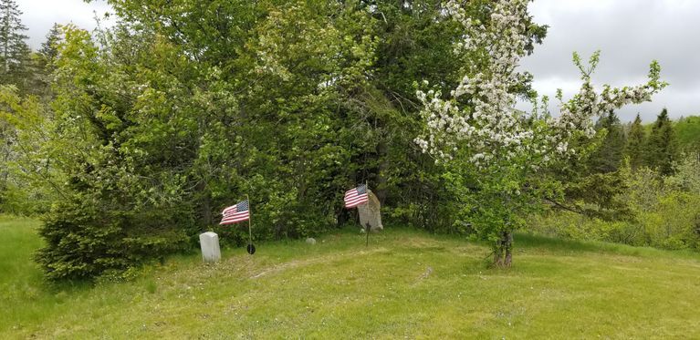          Civil War Graves, South Edmunds Road, just inside the Cobscook Bay State Park, Edmunds, Maine
   