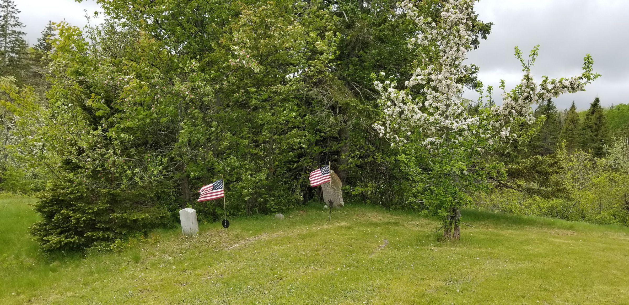 Civil War Graves, South Edmunds Road, just inside the Cobscook Bay State Park, Edmunds, Maine