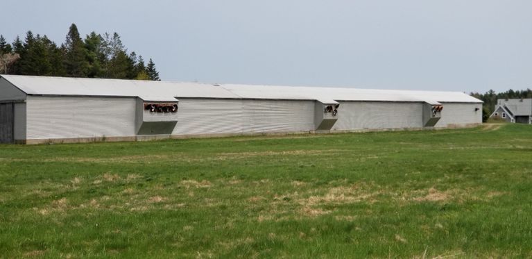          Seavey's Chicken Barn on The Lane in Dennysville; Long view of the chicken barn built by Earl Seavey around 1970, next to his house on The Lane.
   
