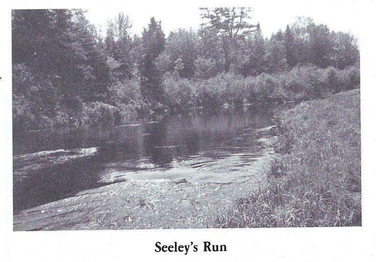          Seeley Run on the lower Dennys River
   