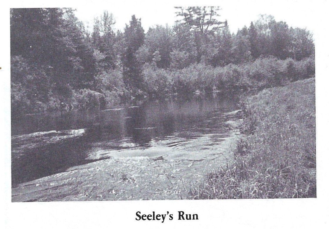 Seeley Run on the lower Dennys River