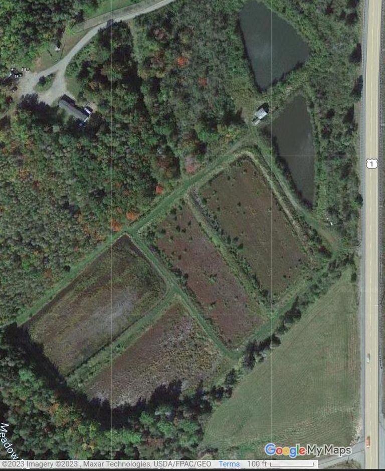          Man-made cranberry bogs beside U.S. Route 1, Dennysville, Maine; Image from Google earth, accessed 05-23-2023
   