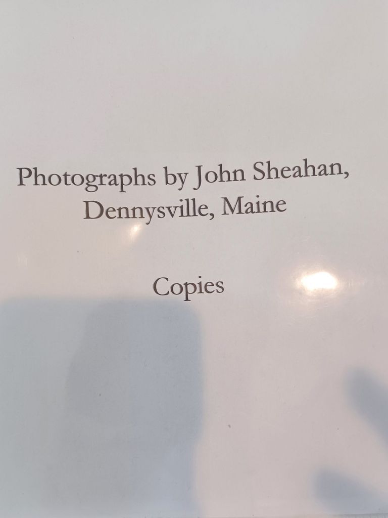          Photographs by Dr. John Sheahan, Dennysville, Maine (copies) picture number 1
   