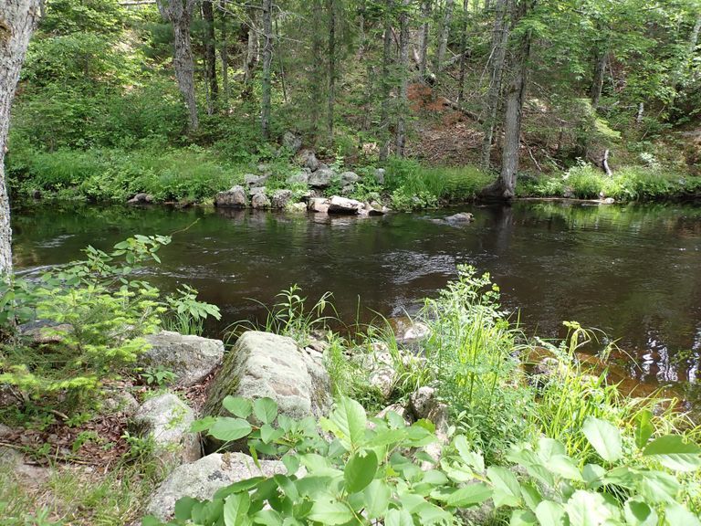          Gilman Dam on the Dennys River; View of the Dennys River at the site of Gilman Dam, looking from Cooper across the water into Charlotte, Maine.
   