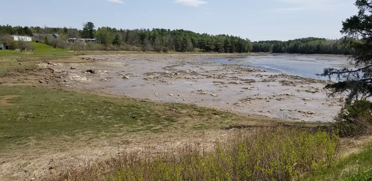          Site of T.W. Allan and Son's shipyard on the Dennys River, looking towards the Narrows.; View of the Dennys River below Foster's Lane where T.W. Allan and his brother-in-law John Kilby operated a shipyard in the nineteenth century
   