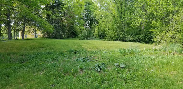          First Schoolhouse Site, Dock Brook, Dennysville picture number 1
   