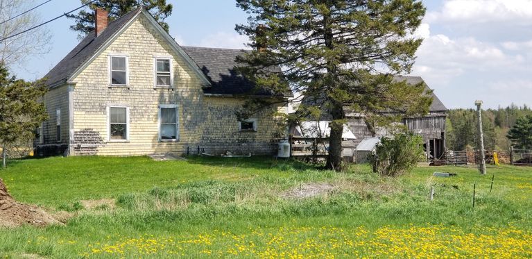          Ward Farm, Edmunds, Maine
   