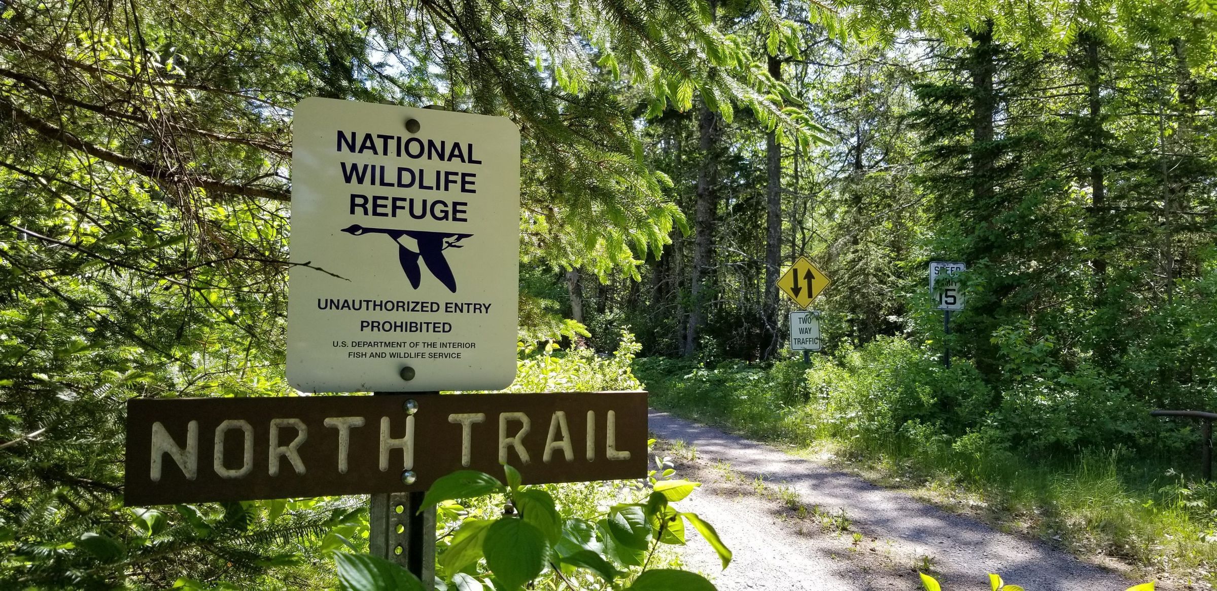 National Wildlife Refuge North Trail, Edmunds, Maine; Head of the North Trail on U.S. Route 1 in the Moosehorn National Wildlife Refuge, Edmunds Division, seen in springtime.