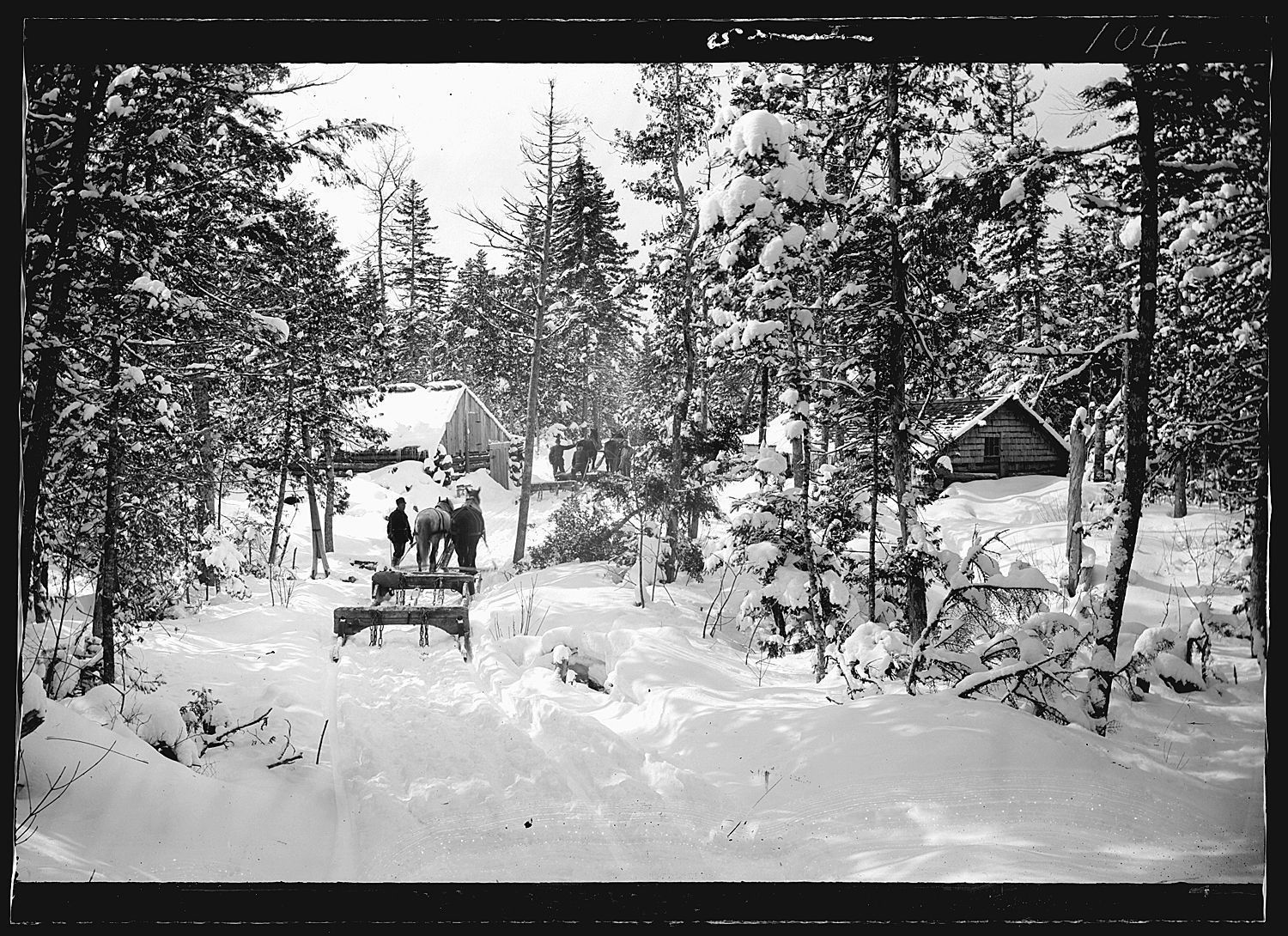 Logging Sleds Coming into Camp picture number 1
