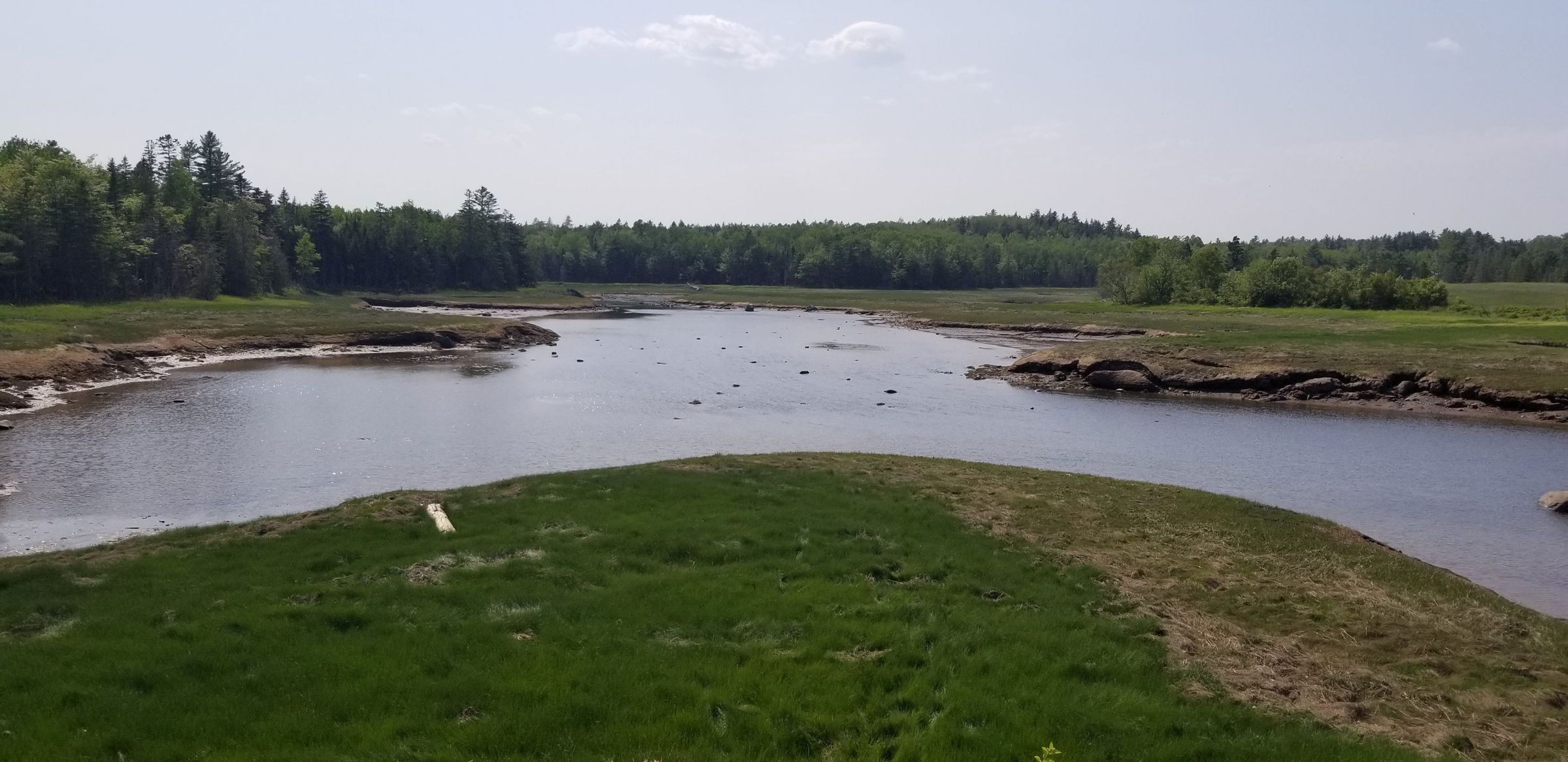 The Marsh on Hobart Stream in Edmunds, Maine; View of the tidal marsh on Hobart Stream, sometimes called