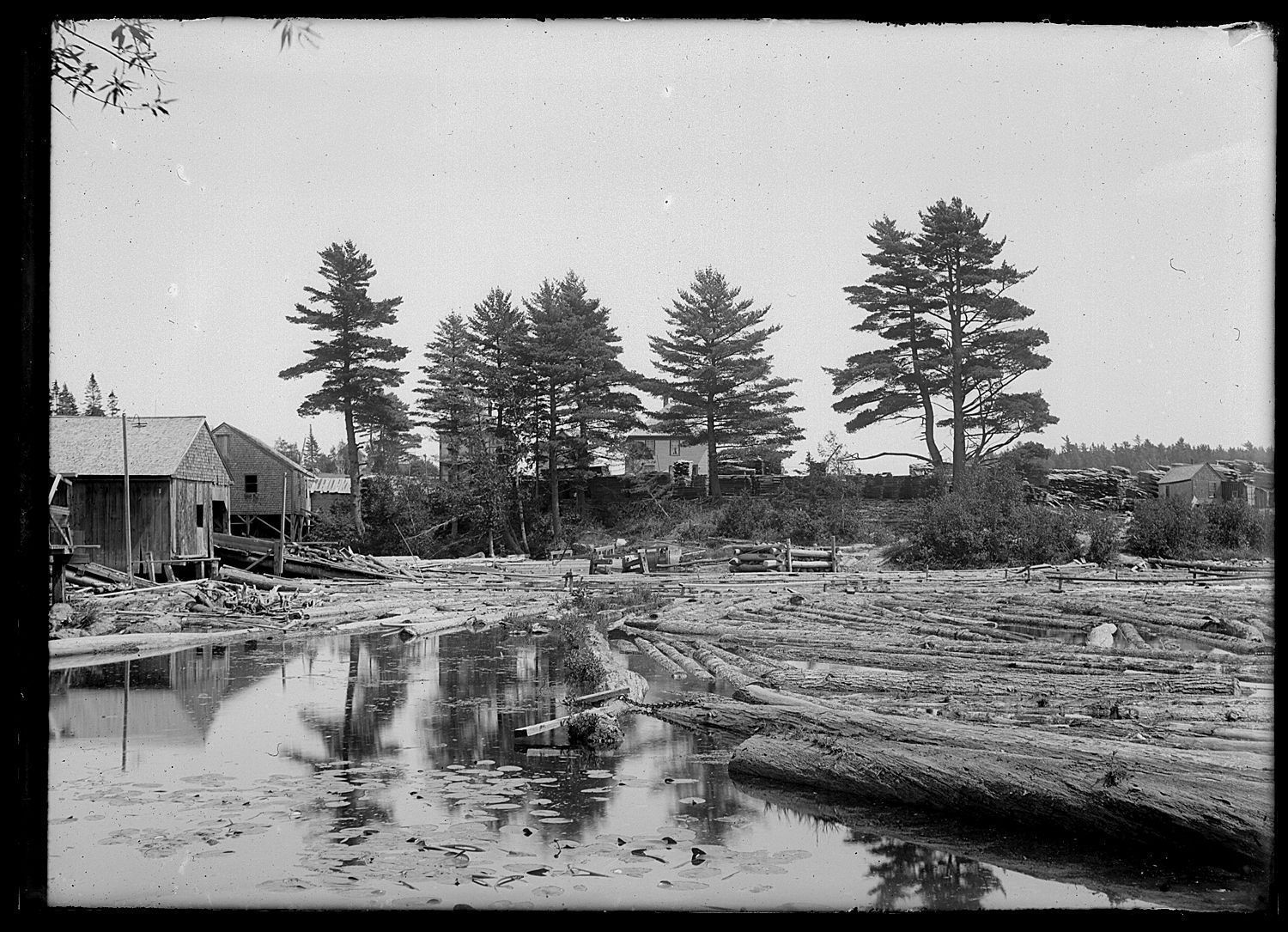 Lincoln Mill Pond on the Dennys River, c. 1885; Boomed logs float in the Lincoln's mill pond on the Dennys River, looking across to Edmunds from Dennysville. Photograph by John P. Sheahan in the 1880's. The millworker's boarding house is visible through the famous grouping of State Seal pines are on the far shore.