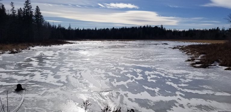          Meadow Brook in Winter, Dennysville, Maine; View of Meadow Brook flowage in winter, as seen from the Shipyard Road in Dennysville, Maine.
   