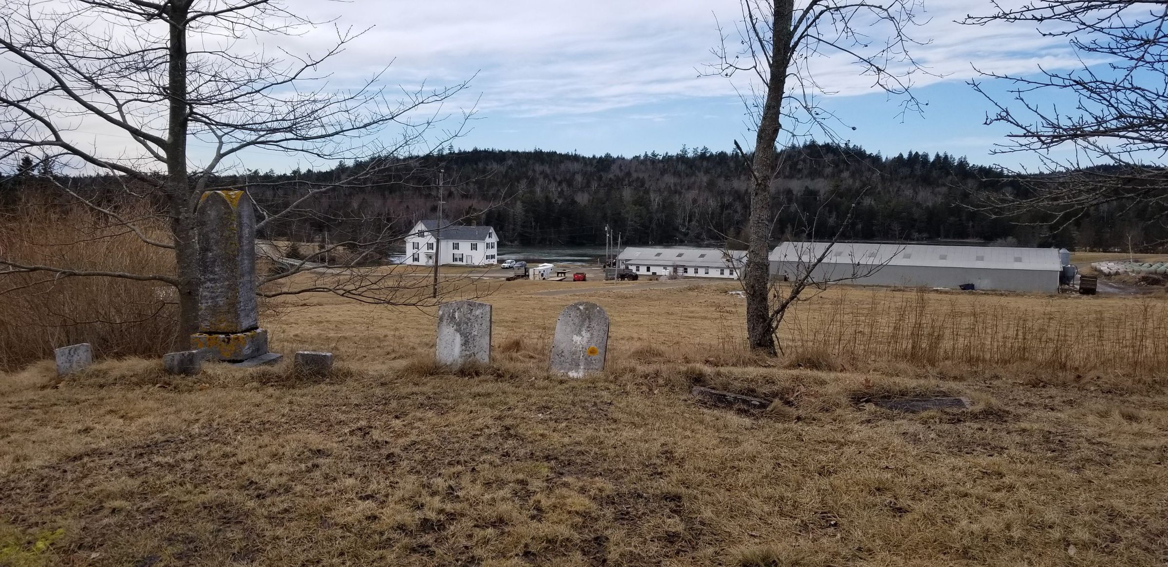 Bell Family Cemeteries picture number 1