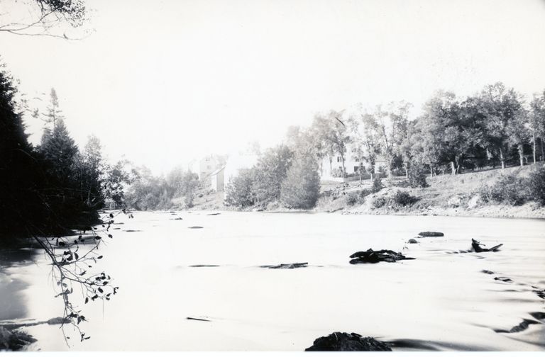          Summer View Looking up the Dennys River; Photo curtesy of The Tides Institute
   