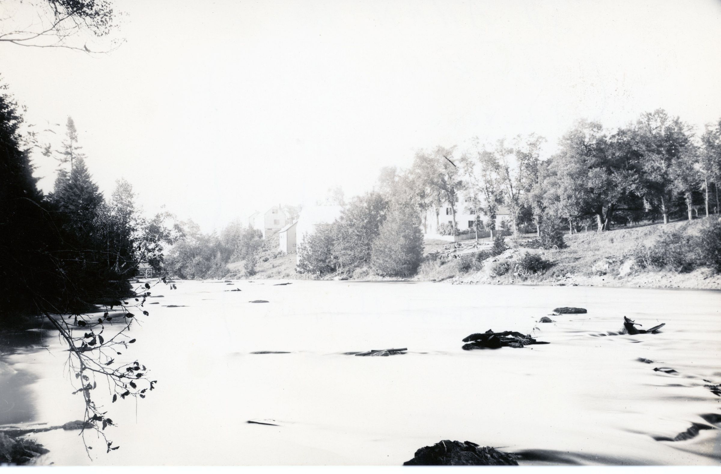 Summer View Looking up the Dennys River; Photo curtesy of The Tides Institute