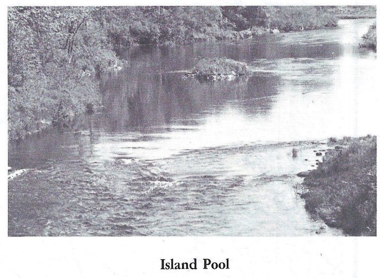          Island Pool on the Dennys River
   
