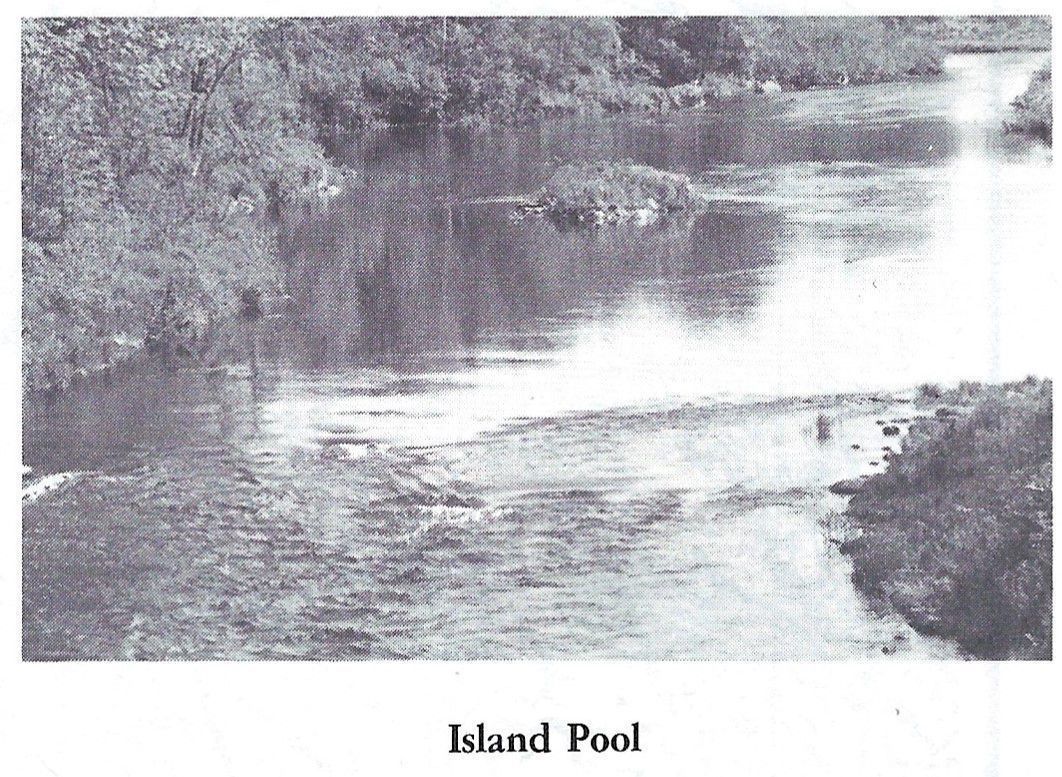 Island Pool on the Dennys River